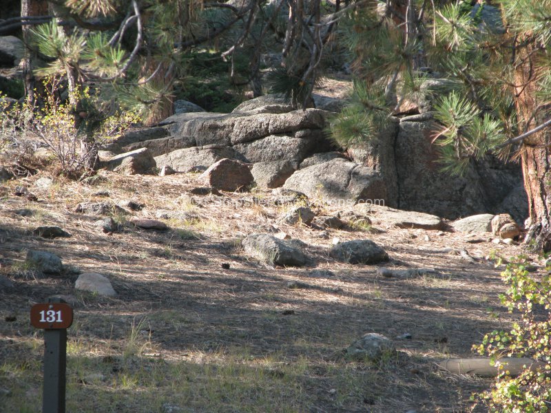 Campsite 131 in Moraine Park Campground at Rocky Mountain National Park